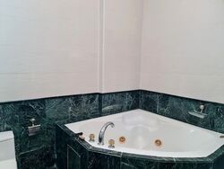 Fifth Avenue Condominium (D10), Condominium #580656811